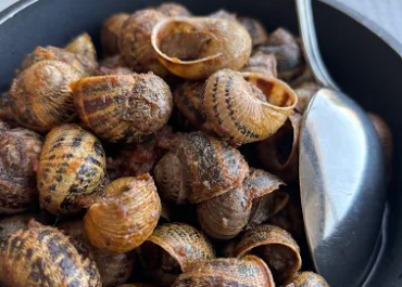 Els cargols a la cuina mediterrània catalana: tradició i sabor a Can Parera